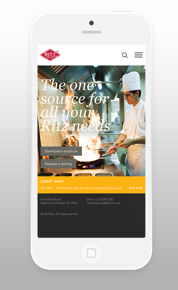 Ritz Website iPhone Presentation